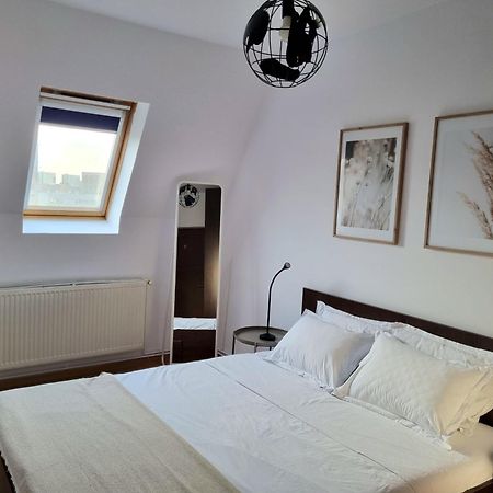 Iulius Town Charm Cozy Apartments 티미쇼아라 외부 사진