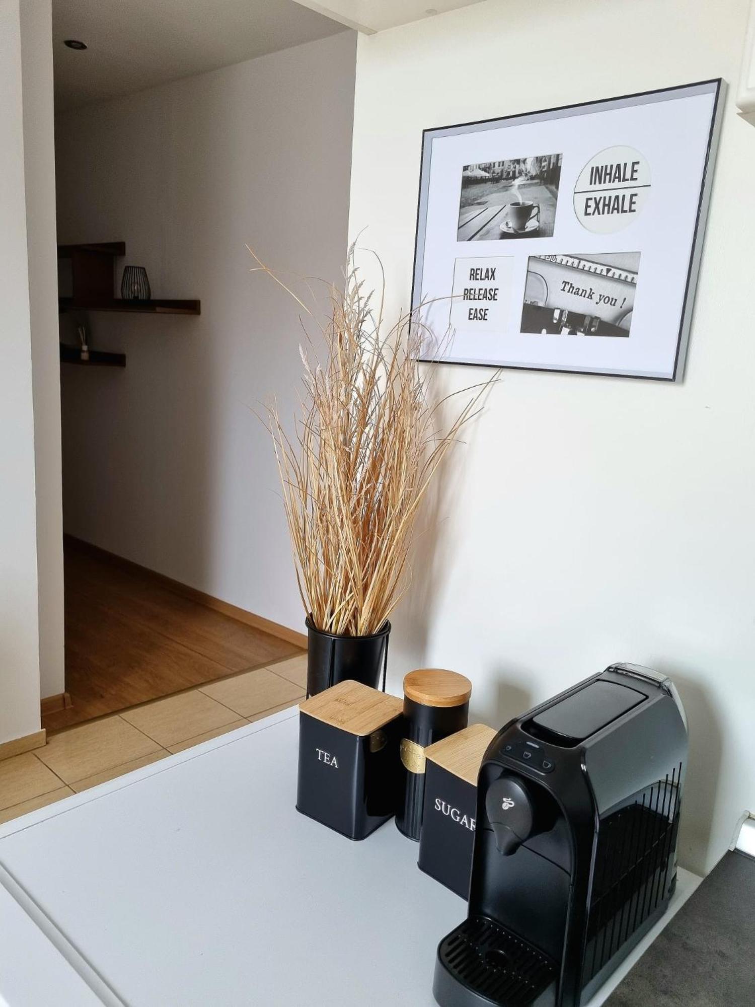 Iulius Town Charm Cozy Apartments 티미쇼아라 외부 사진