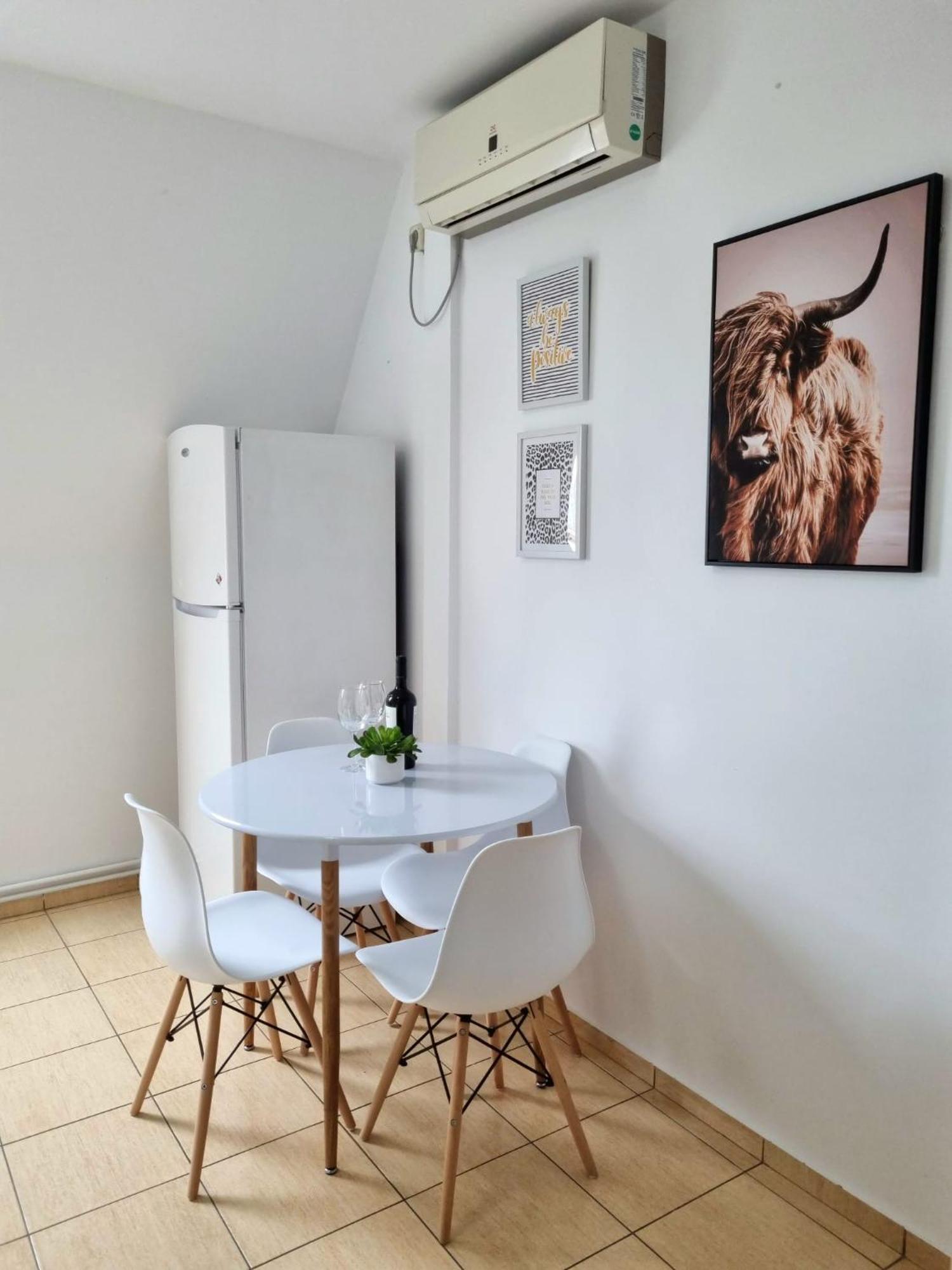 Iulius Town Charm Cozy Apartments 티미쇼아라 외부 사진