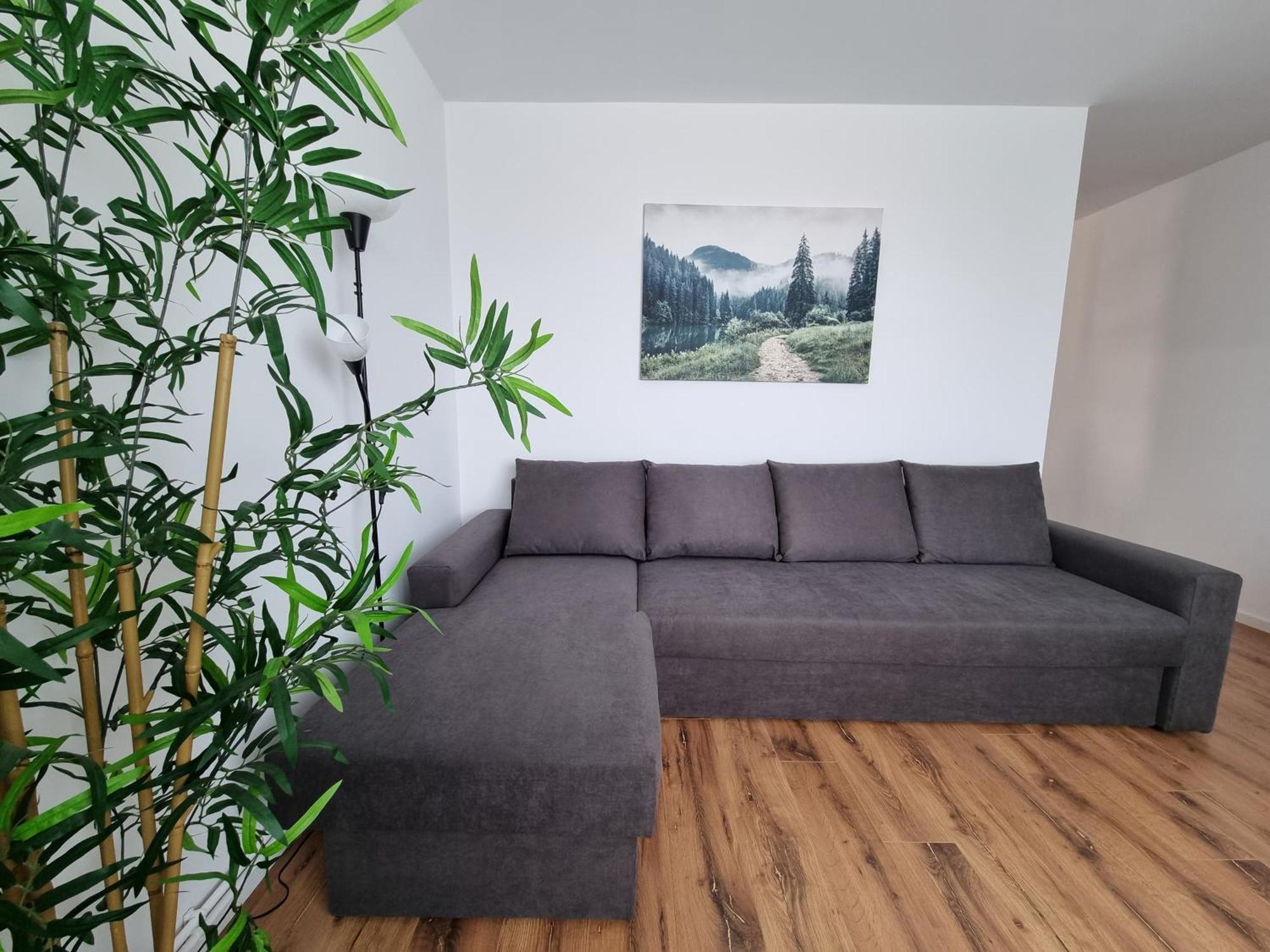 Iulius Town Charm Cozy Apartments 티미쇼아라 외부 사진
